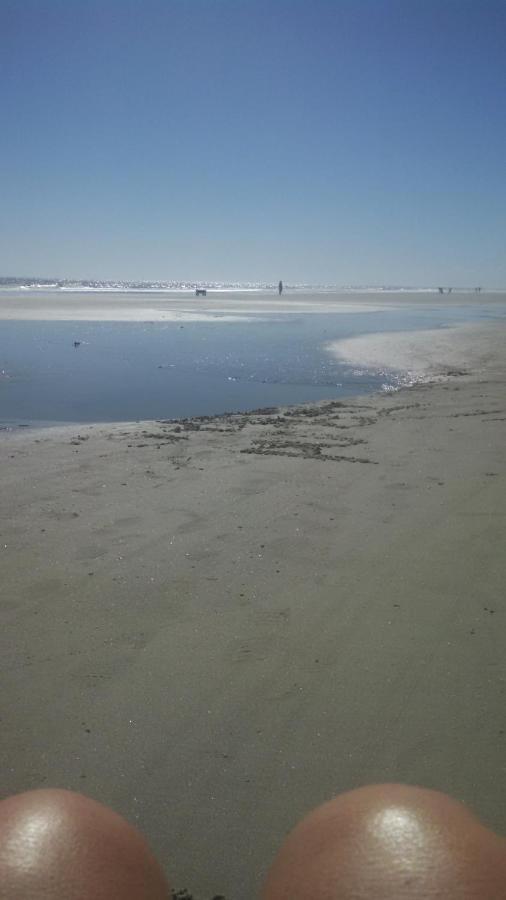 Nothing But Ocean In Forest Beach هيلتون رئيس جزيرة المظهر الخارجي الصورة